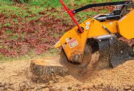 Best Weed Control  in Maple Glen, PA