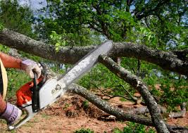 Best Soil Testing and Treatment  in Maple Glen, PA